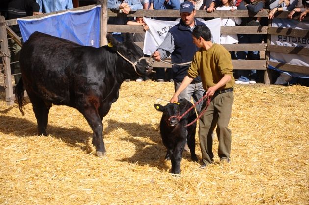 En el marco de la 81º Expo Rural Pergamino, se lanza la 8º edición del Concurso Fotográfico